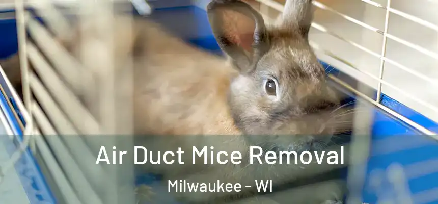 Air Duct Mice Removal Milwaukee - WI