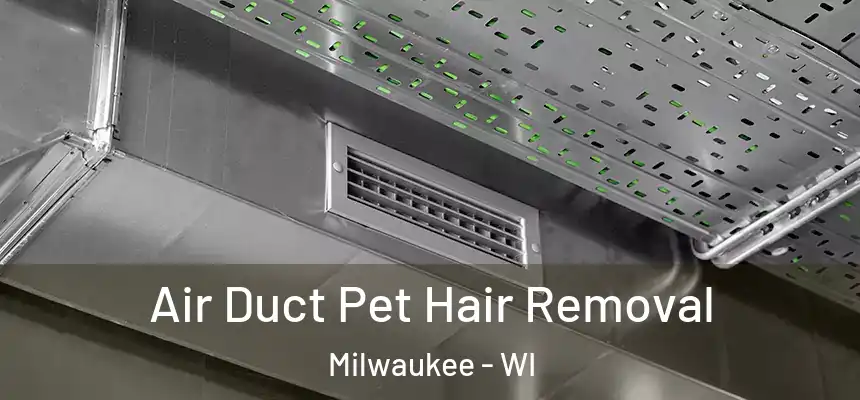  Air Duct Pet Hair Removal Milwaukee - WI