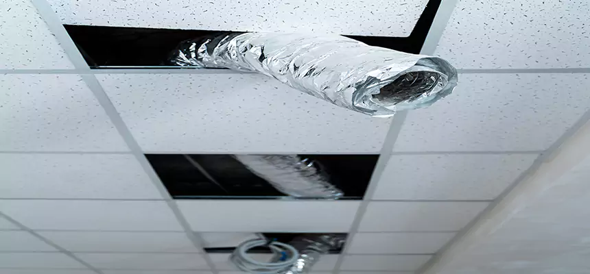 Our Air Duct Pet Hair Removal Services in Milwaukee, WI