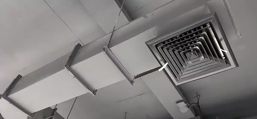 Our Pest Removal From Ducts Services in Milwaukee, WI