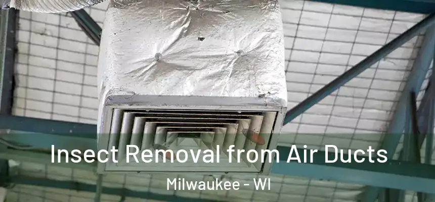 Insect Removal from Air Ducts Milwaukee - WI