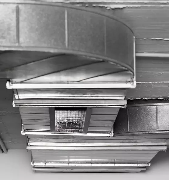 Professional Air Duct Pest Removal in Milwaukee, WI