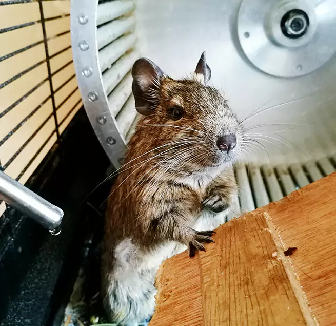 Why Homeowners & Businesses Trust Us Milwaukee, WI